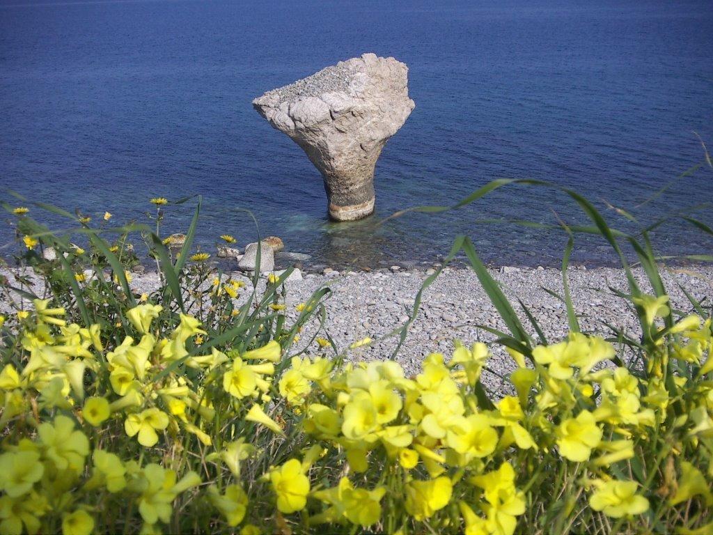 Residence Torre Saracena ヴィッラピアーナ エクステリア 写真